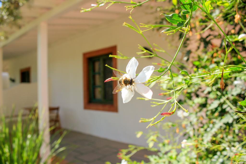Fazendinha - Tavira - Spacious And Tranquil Hotel Bagian luar foto